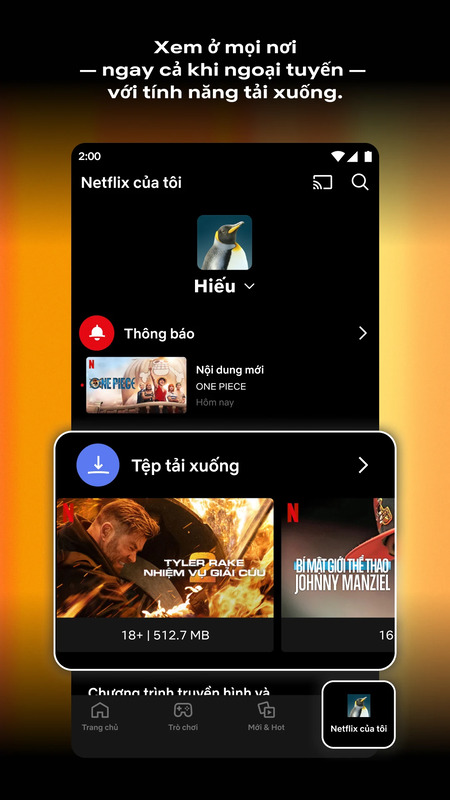 Netflix 2